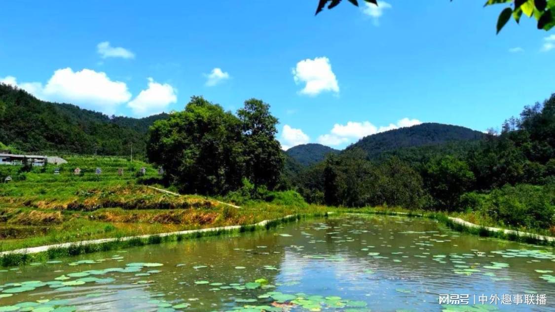 KS业务平台24小时业务平台超低价